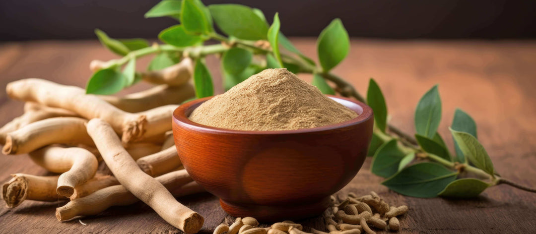 Ashwagandha et Bienfaits pour la Musculation : 3 points